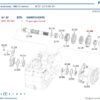 073107 ZF – ENGRENAGEM 36X19Z 0092302043